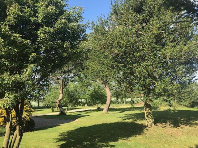 Dairy Barns Holiday Cottages Norwich Ngoại thất bức ảnh